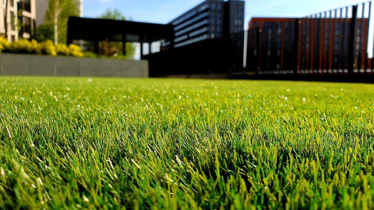 How And When To Aerate Your Lawn In Waxhaw, NC