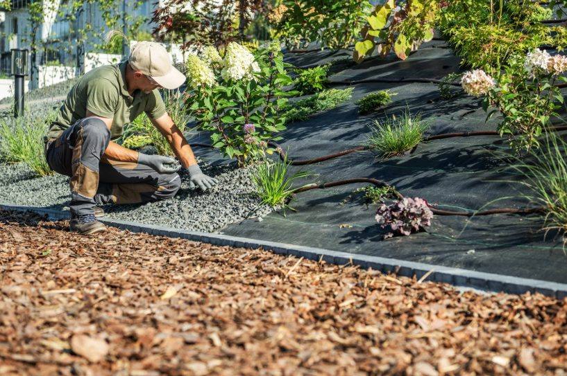 How Much Does Landscape Maintenance Cost In The Charlotte Area?