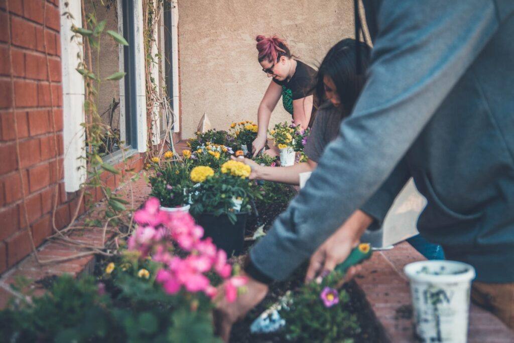 JH Landscapes how to create a rain garden in project photo 1 in the Greater Charlotte area