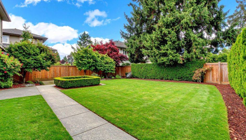 Sod Installation Cost In Waxhaw, NC: What To Expect In 2026
