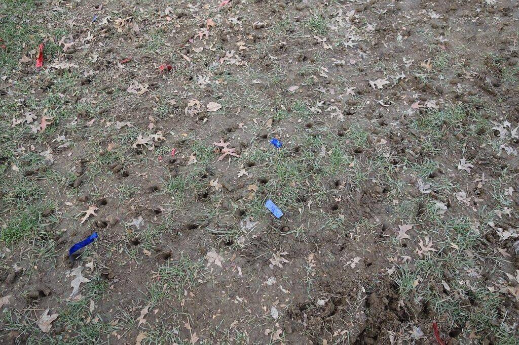 JH Landscapes year round lawn landscape maintenance schedule project photo 3 in the Greater Charlotte area