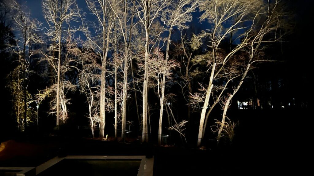 landscape design charlotte nc