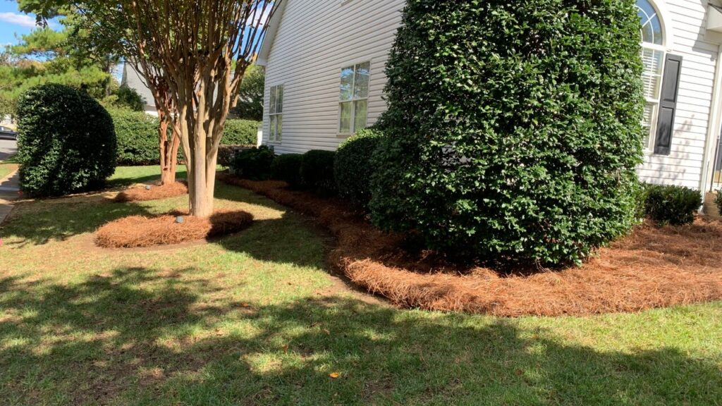 landscaper project charlotte nc
