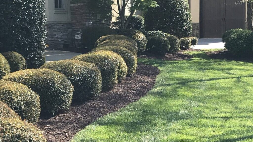 landscapers charlotte