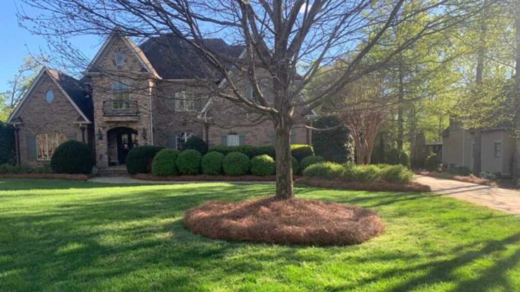 landscaping