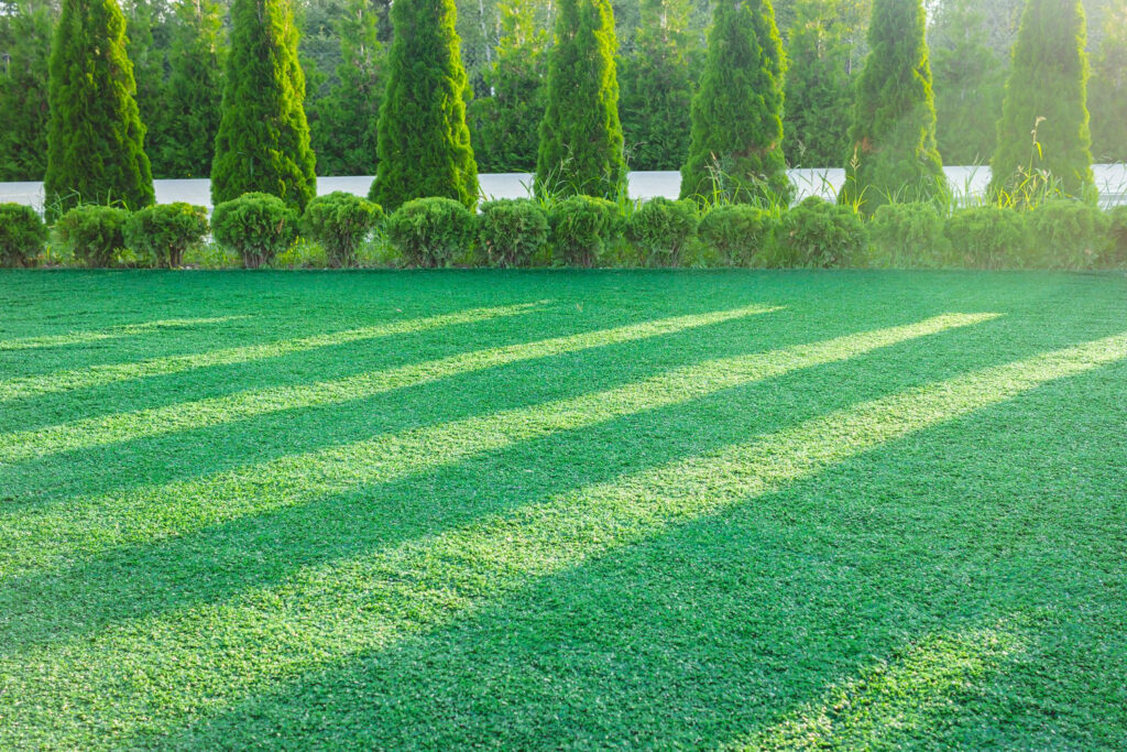 Landscaping