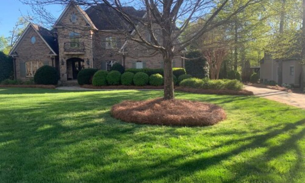 Outdoor Space Transformation