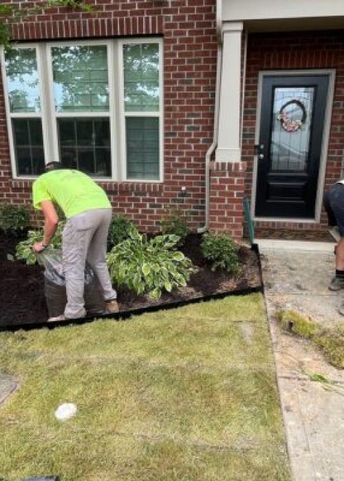 Professional Landscaping Services