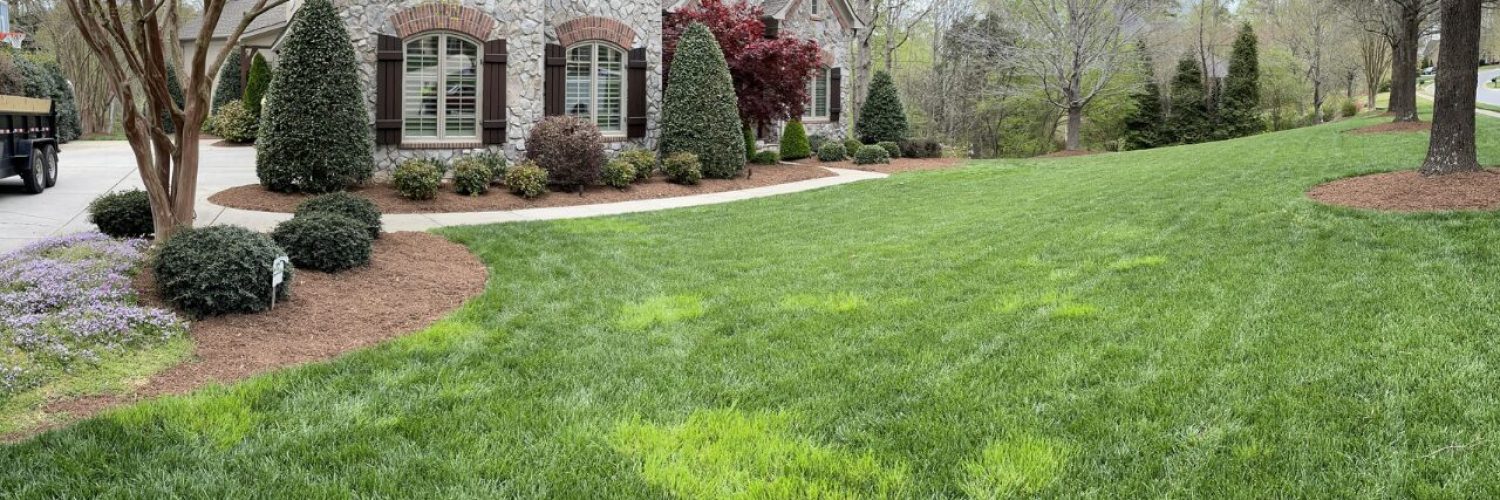 charlotte landscape design