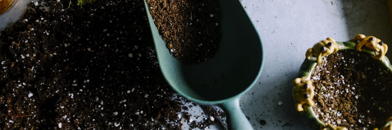 Backyard Landscaping