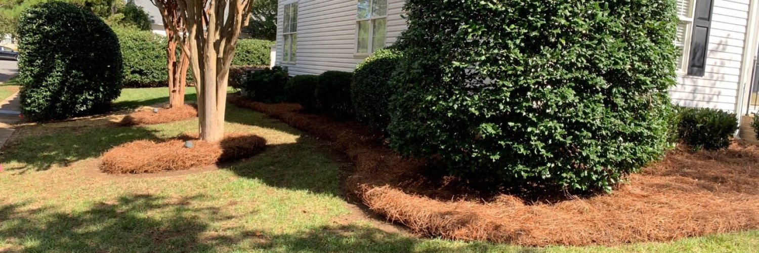 landscaper project charlotte nc