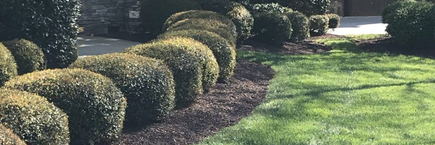 landscapers charlotte
